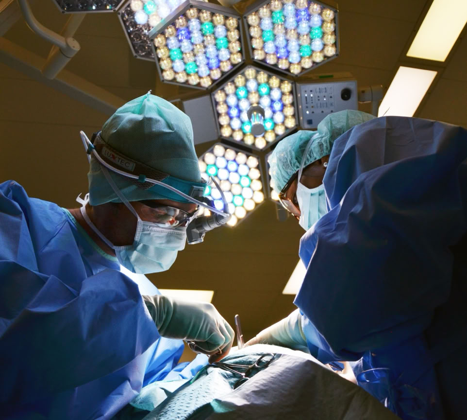 Chiropractor demonstrating spine anatomy to a patient during consultation indoors.